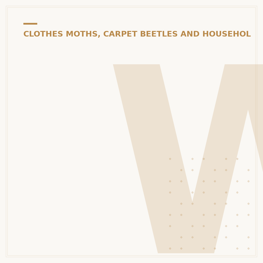 Why Do I Have Carpet Beetles? Common Causes Explained