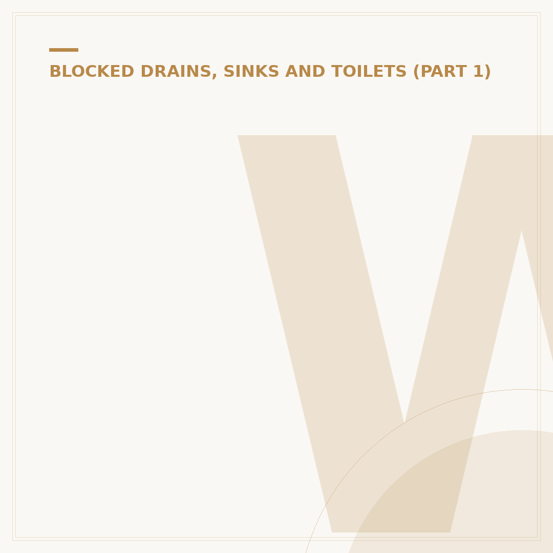 Wild Sink and Drain Cleaner: Unblocking Solutions