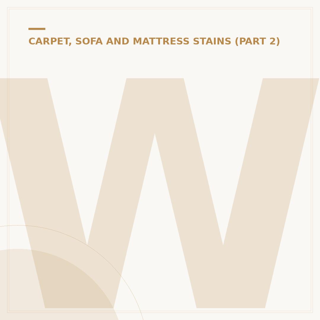 Wool Carpet Stain Remover: Effective Solutions