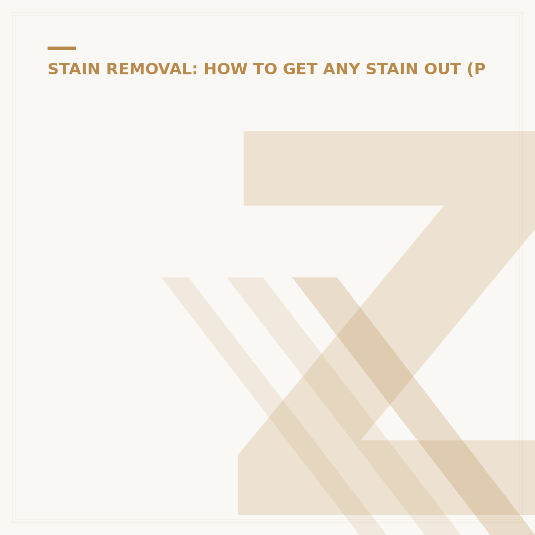 ZN Stains: What They Are and How to Remove Them