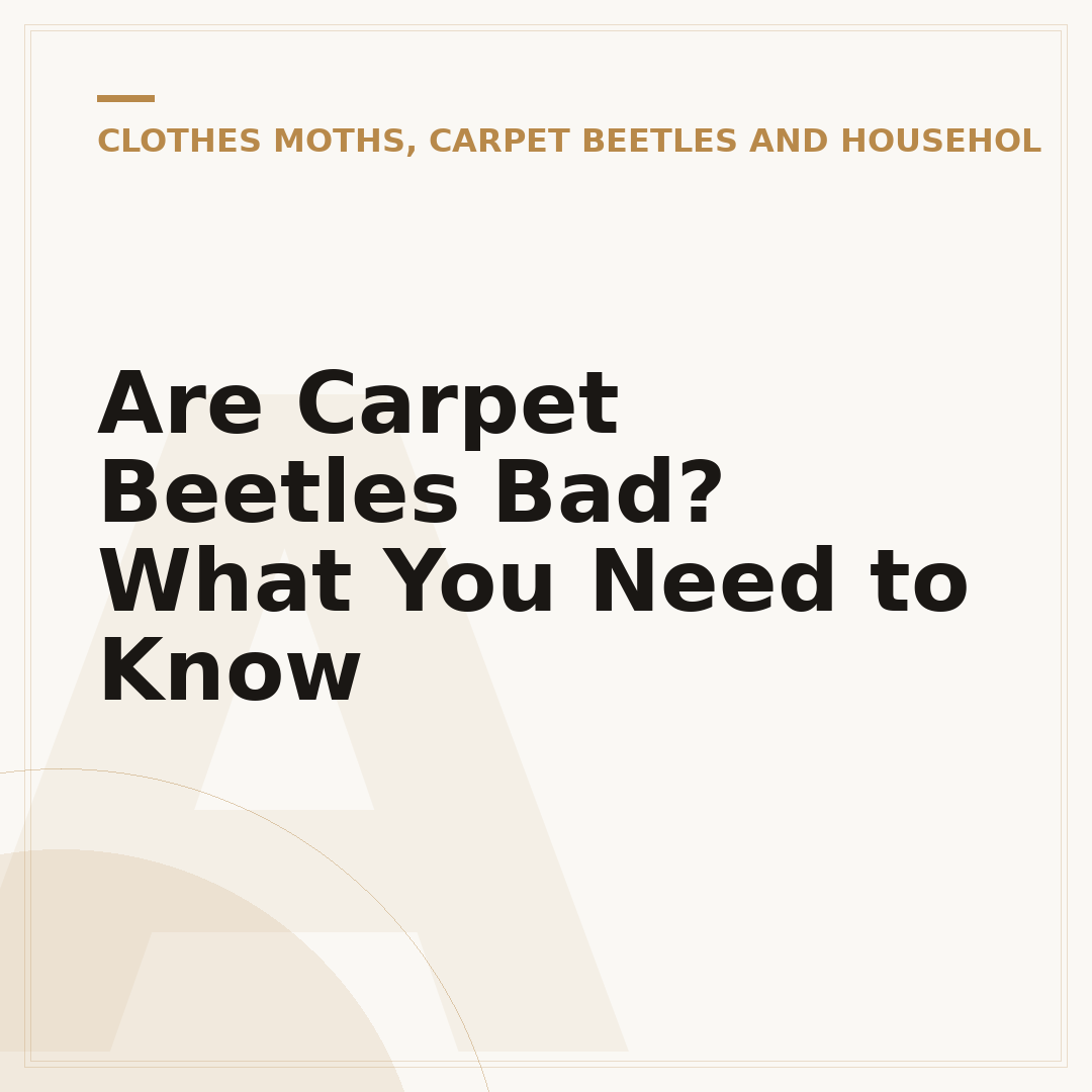Are Carpet Beetles Bad? What You Need to Know