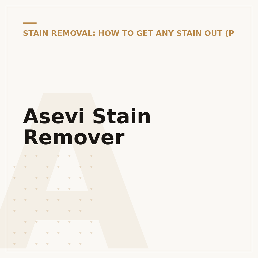 Asevi Stain Remover