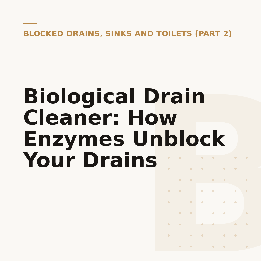Biological Drain Cleaner: How Enzymes Unblock Your Drains