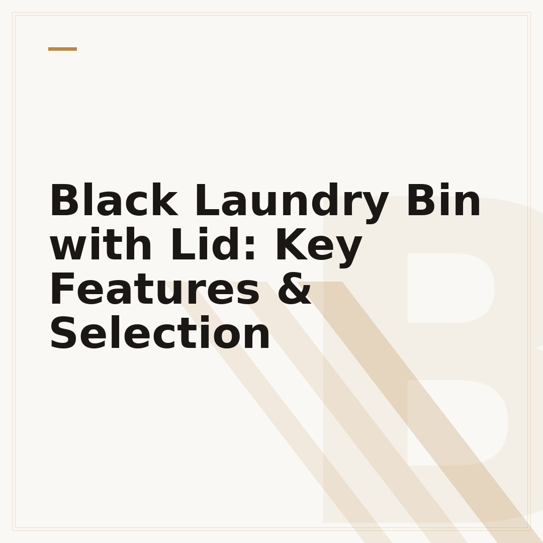 Black Laundry Bin with Lid: Key Features & Selection