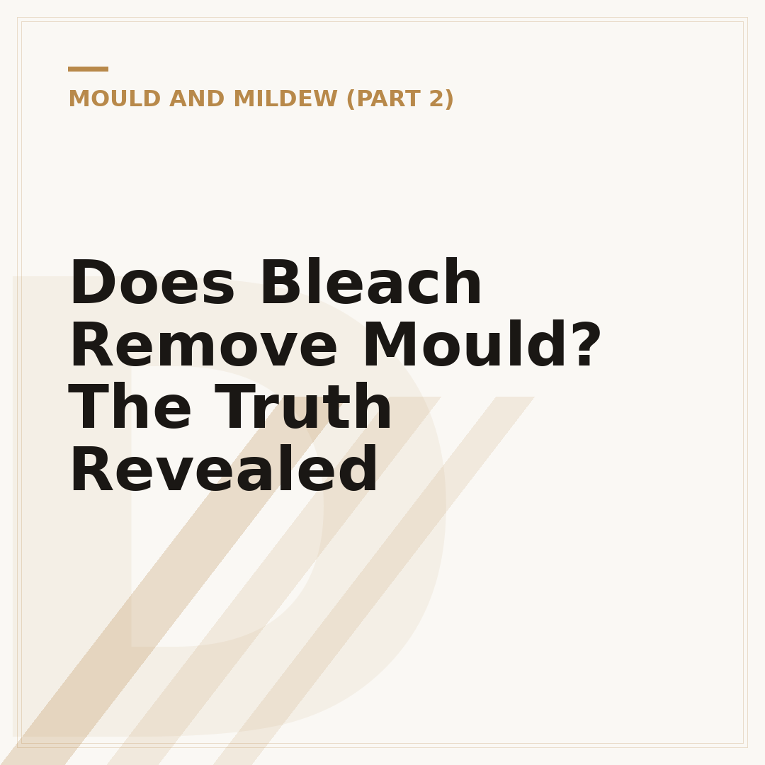 Does Bleach Remove Mould? The Truth Revealed