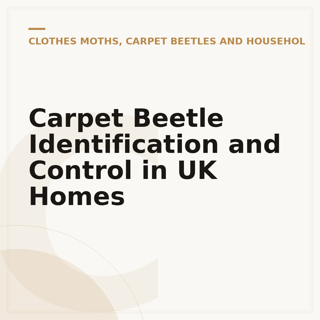 Carpet Beetle Identification and Control in UK Homes