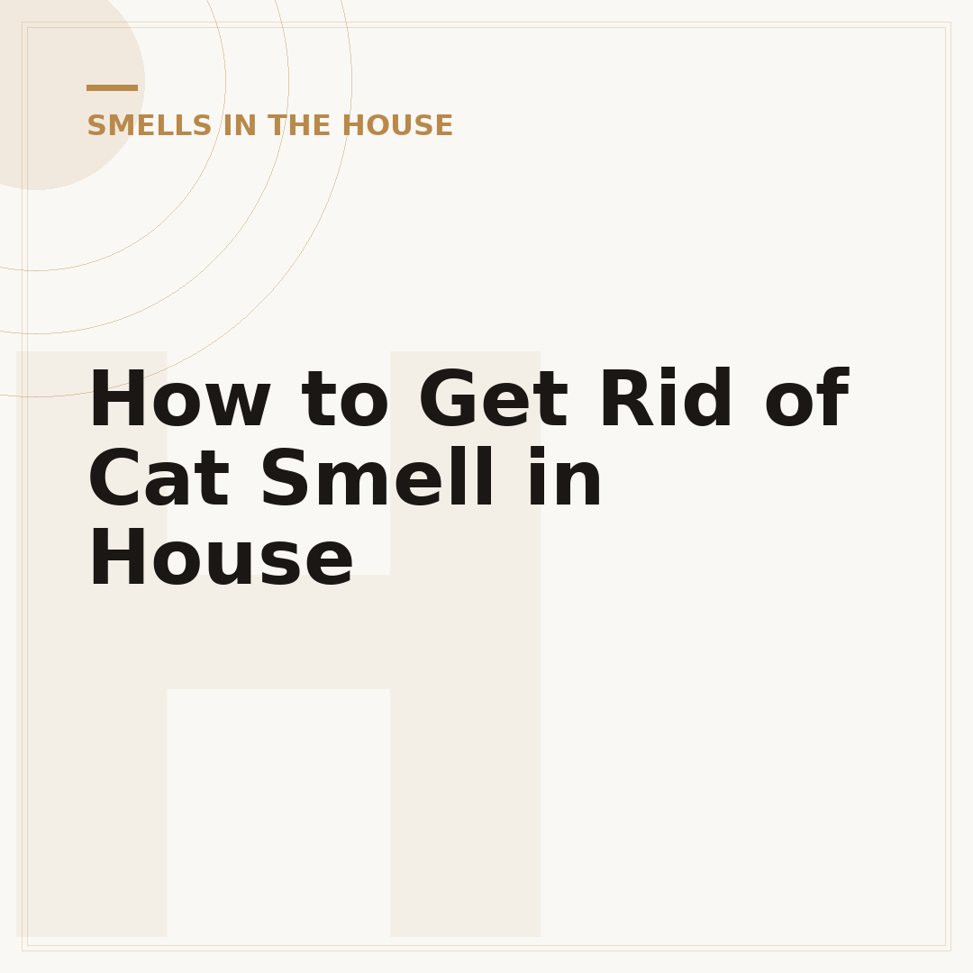 How to Get Rid of Cat Smell in House