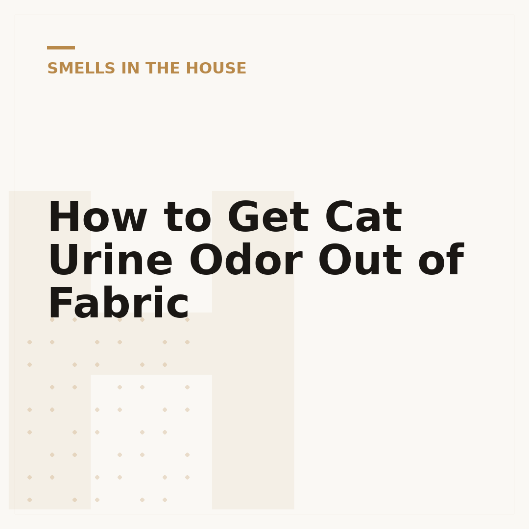 How to Get Cat Urine Odor Out of Fabric
