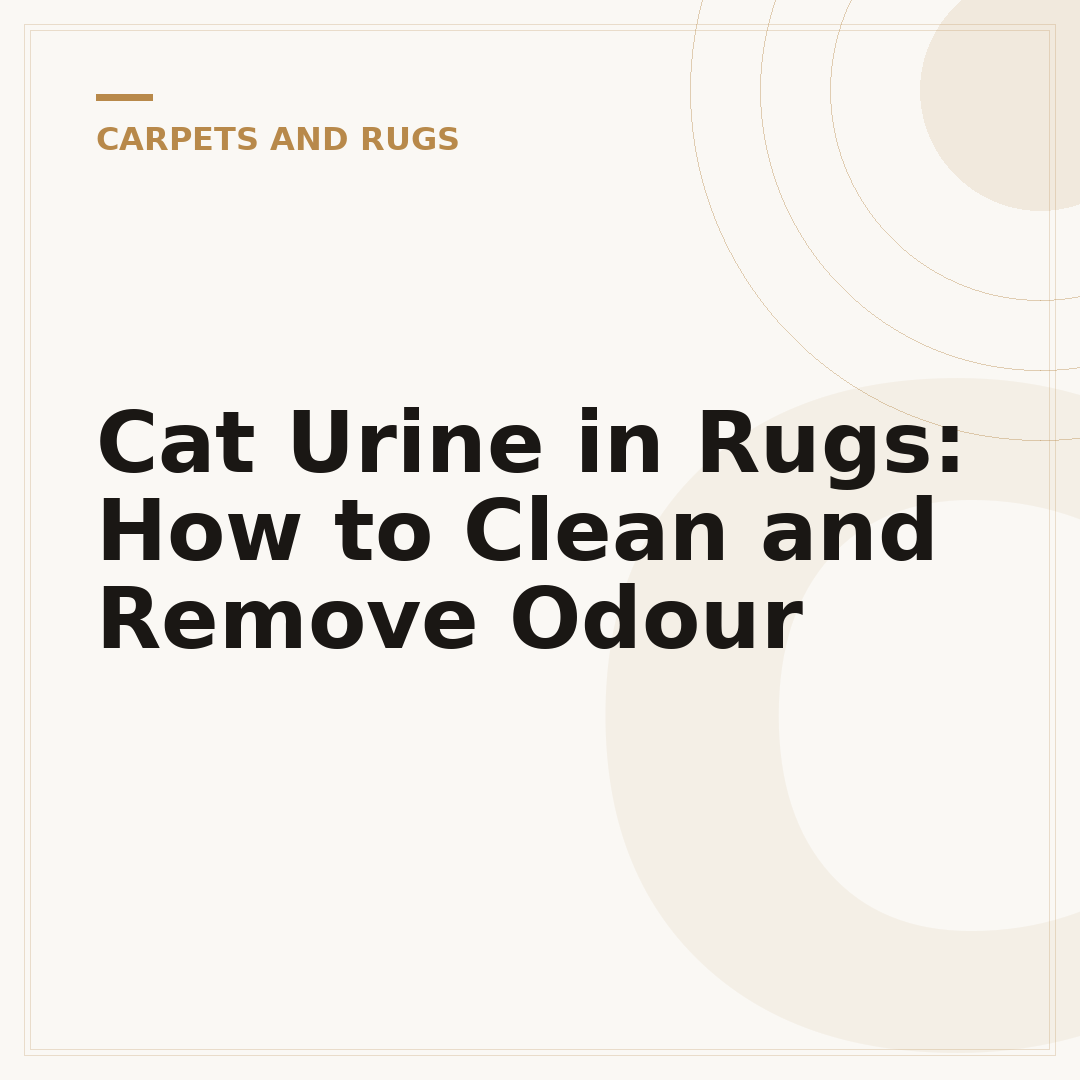 Cat Urine in Rugs: How to Clean and Remove Odour