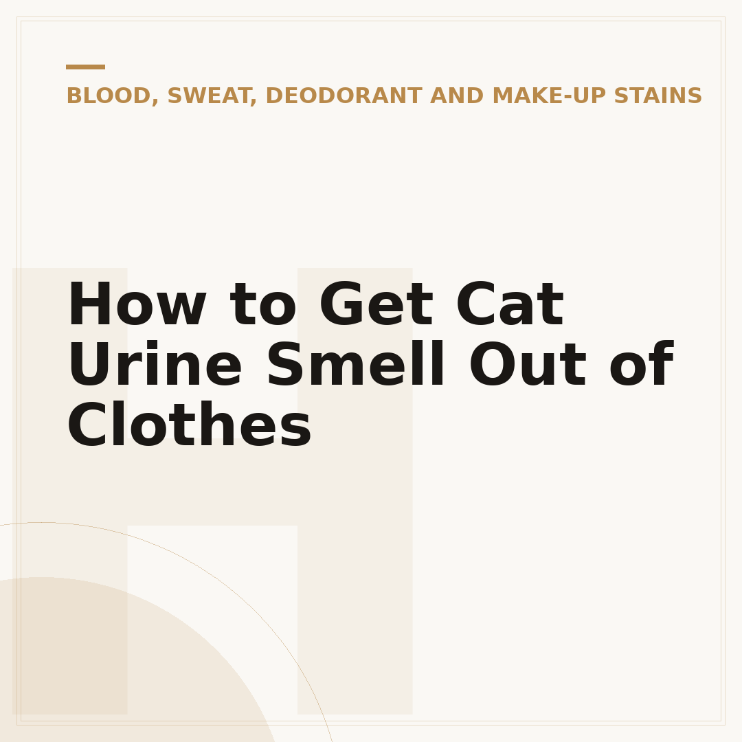 How to Get Cat Urine Smell Out of Clothes