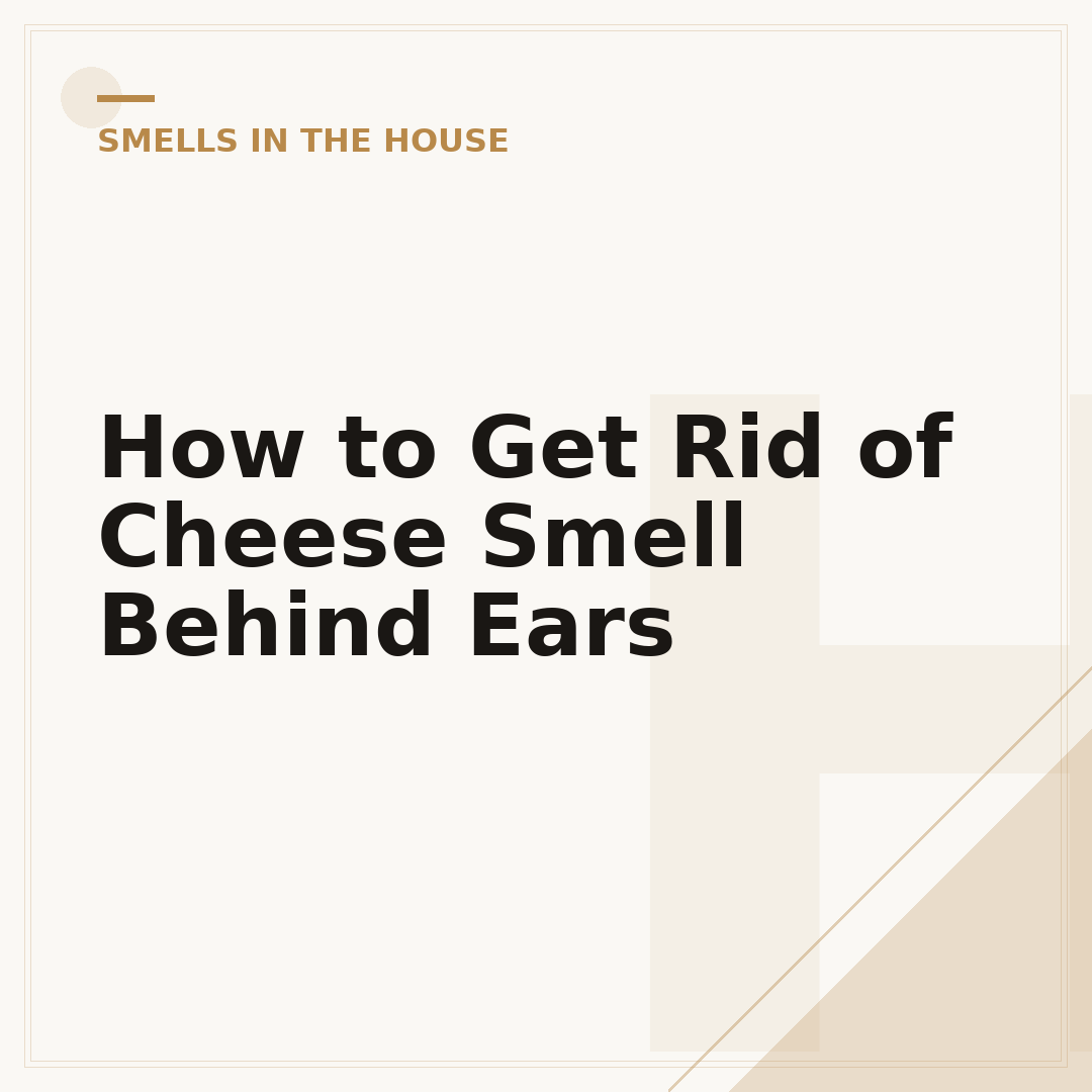 How to Get Rid of Cheese Smell Behind Ears