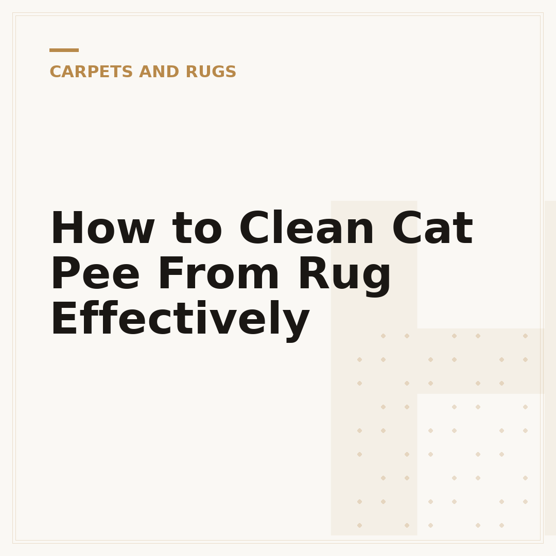 How to Clean Cat Pee From Rug Effectively