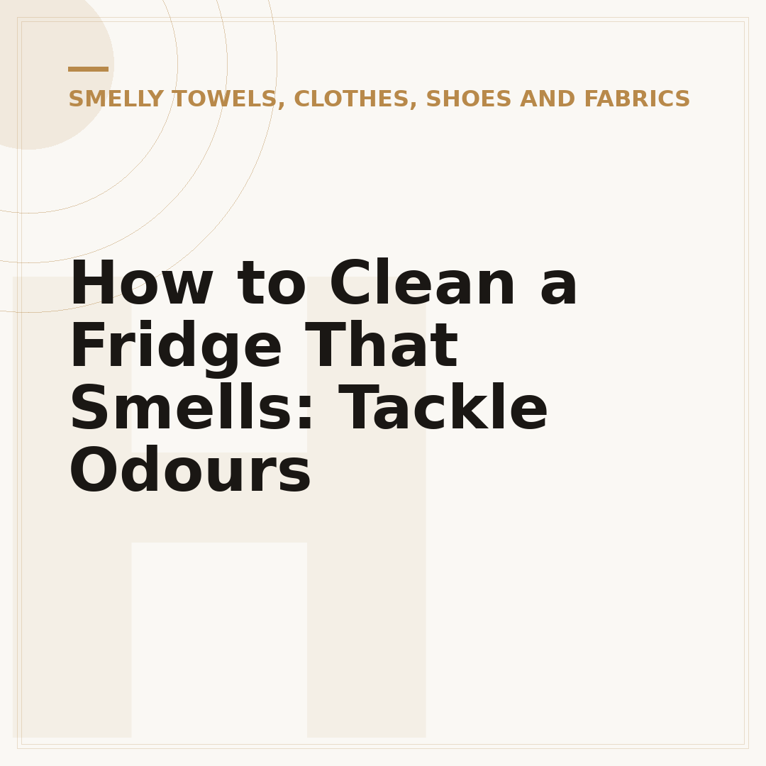 How to Clean a Fridge That Smells: Tackle Odours