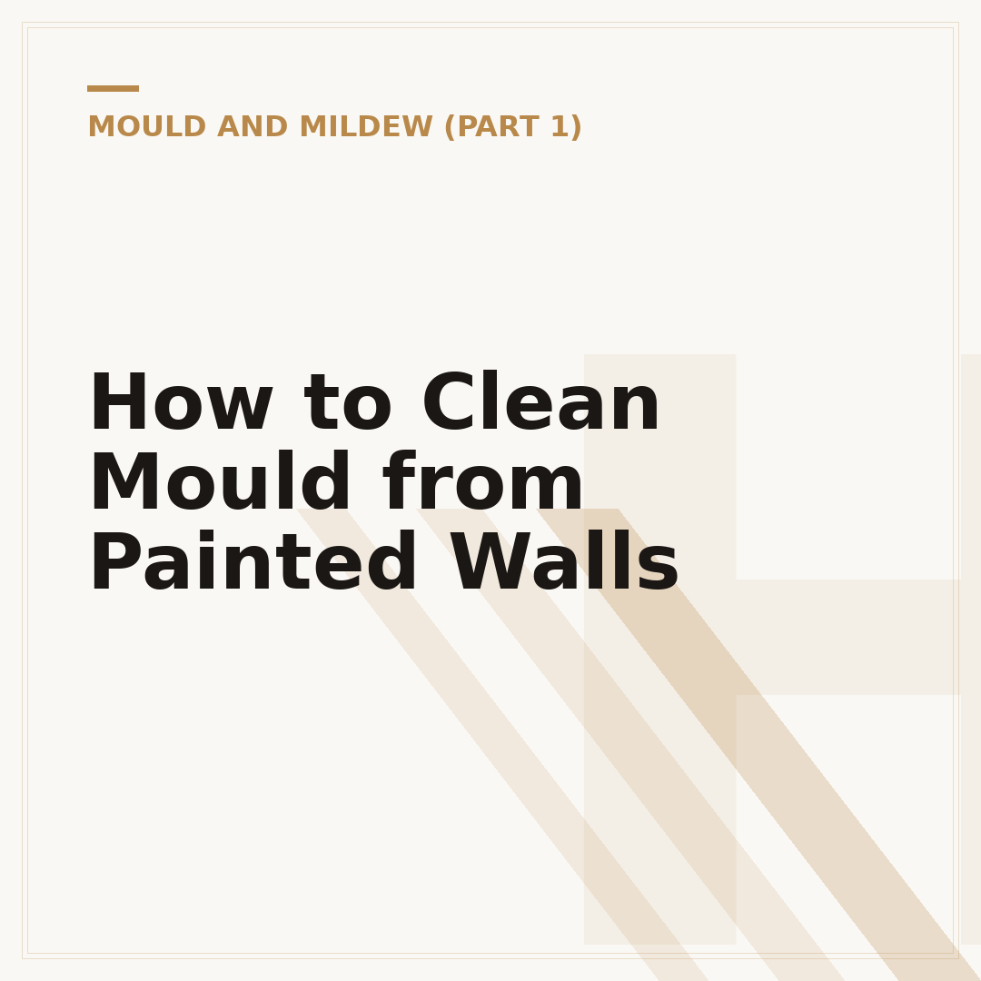 How to Clean Mould from Painted Walls