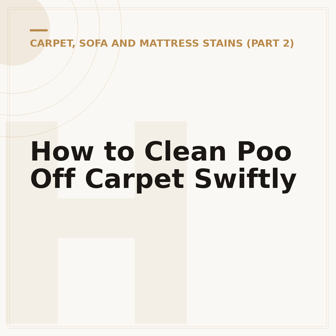 How to Clean Poo Off Carpet Swiftly