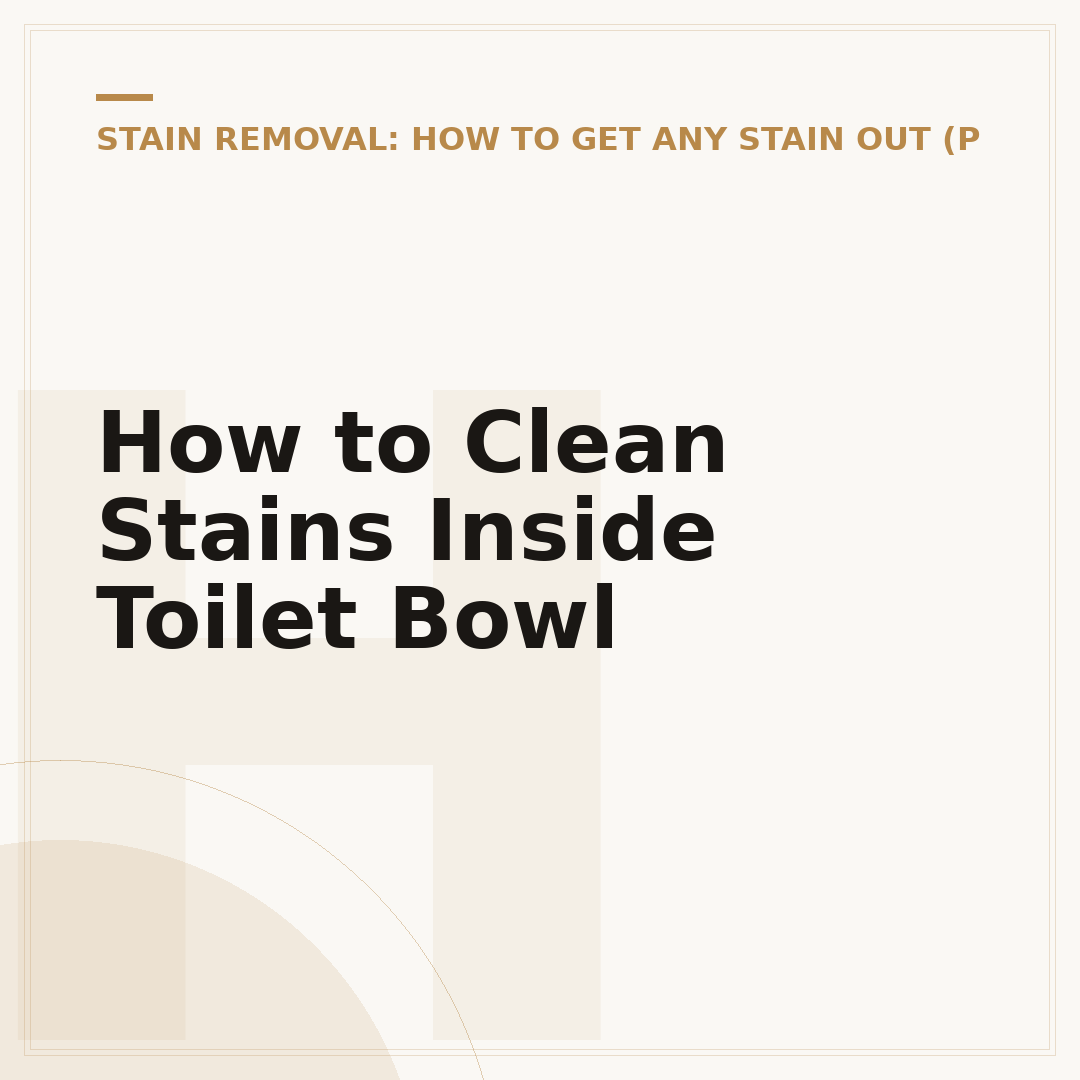 How to Clean Stains Inside Toilet Bowl