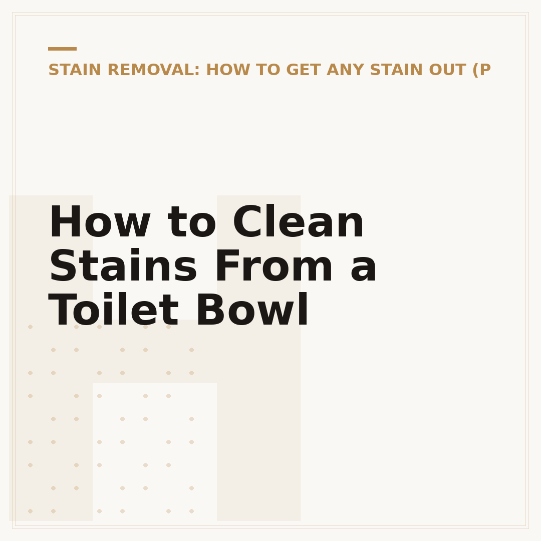How to Clean Stains From a Toilet Bowl