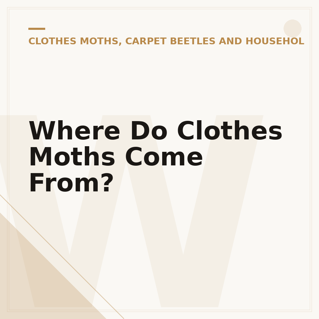 Where Do Clothes Moths Come From?