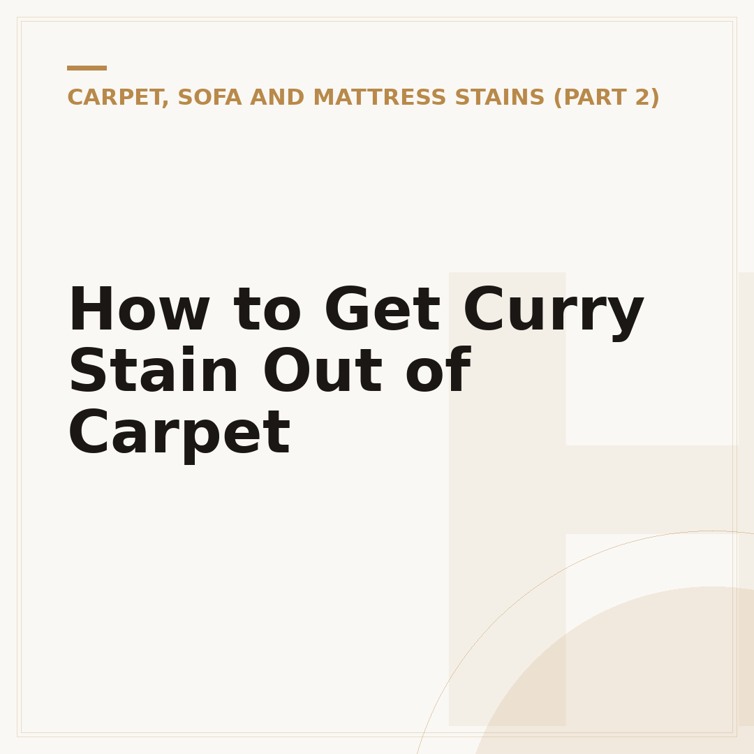 How to Get Curry Stain Out of Carpet