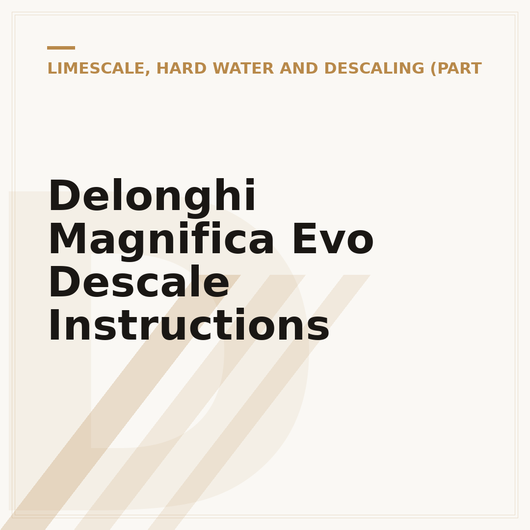 Delonghi Magnifica Evo Descale Instructions
