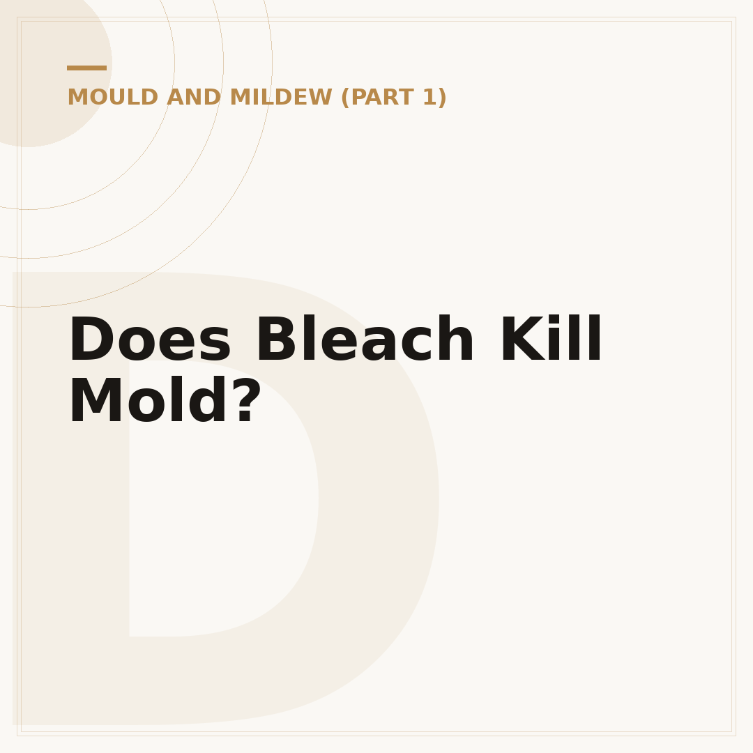 Does Bleach Kill Mold?