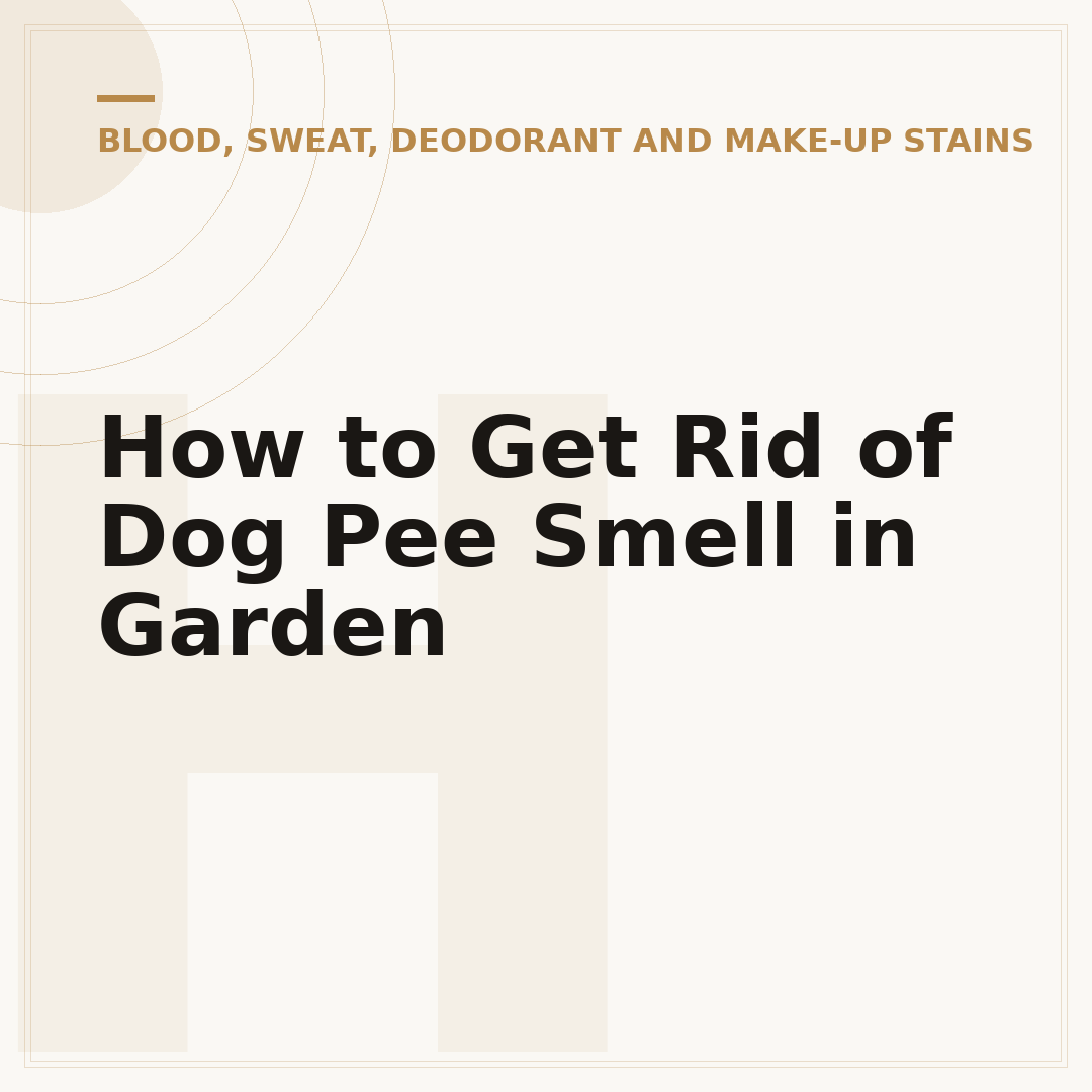 How to Get Rid of Dog Pee Smell in Garden