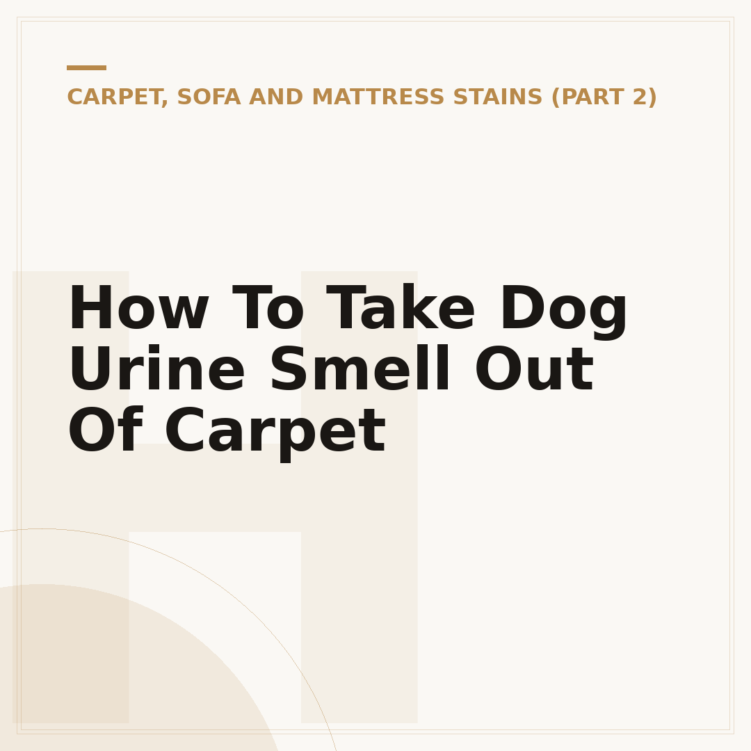 How To Take Dog Urine Smell Out Of Carpet