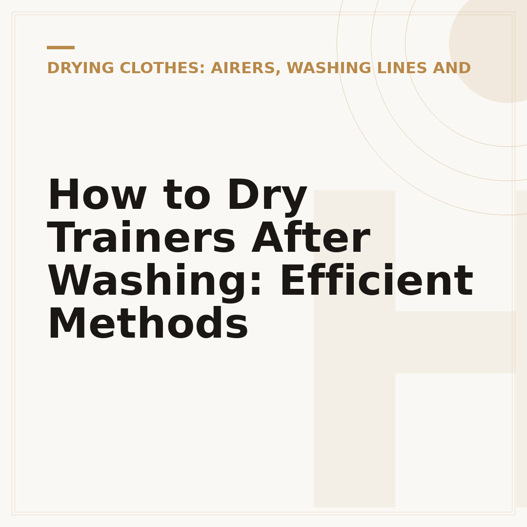 How to Dry Trainers After Washing: Efficient Methods