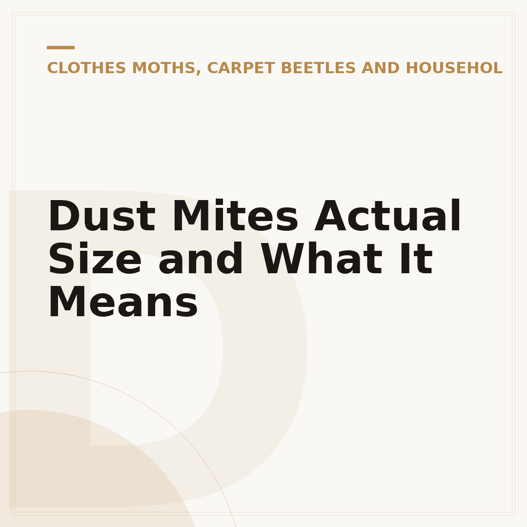 Dust Mites Actual Size and What It Means