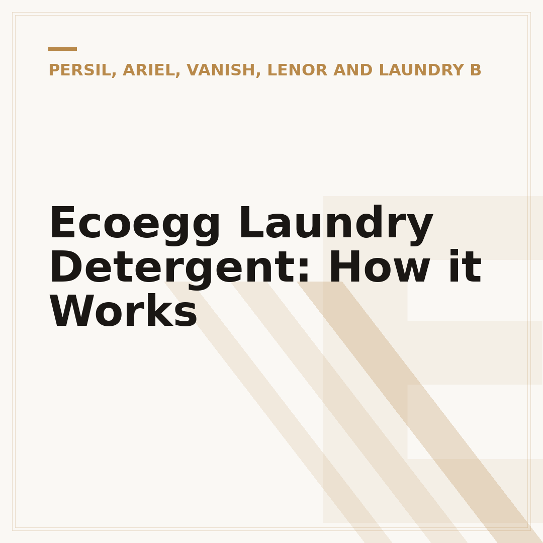 Ecoegg Laundry Detergent: How it Works