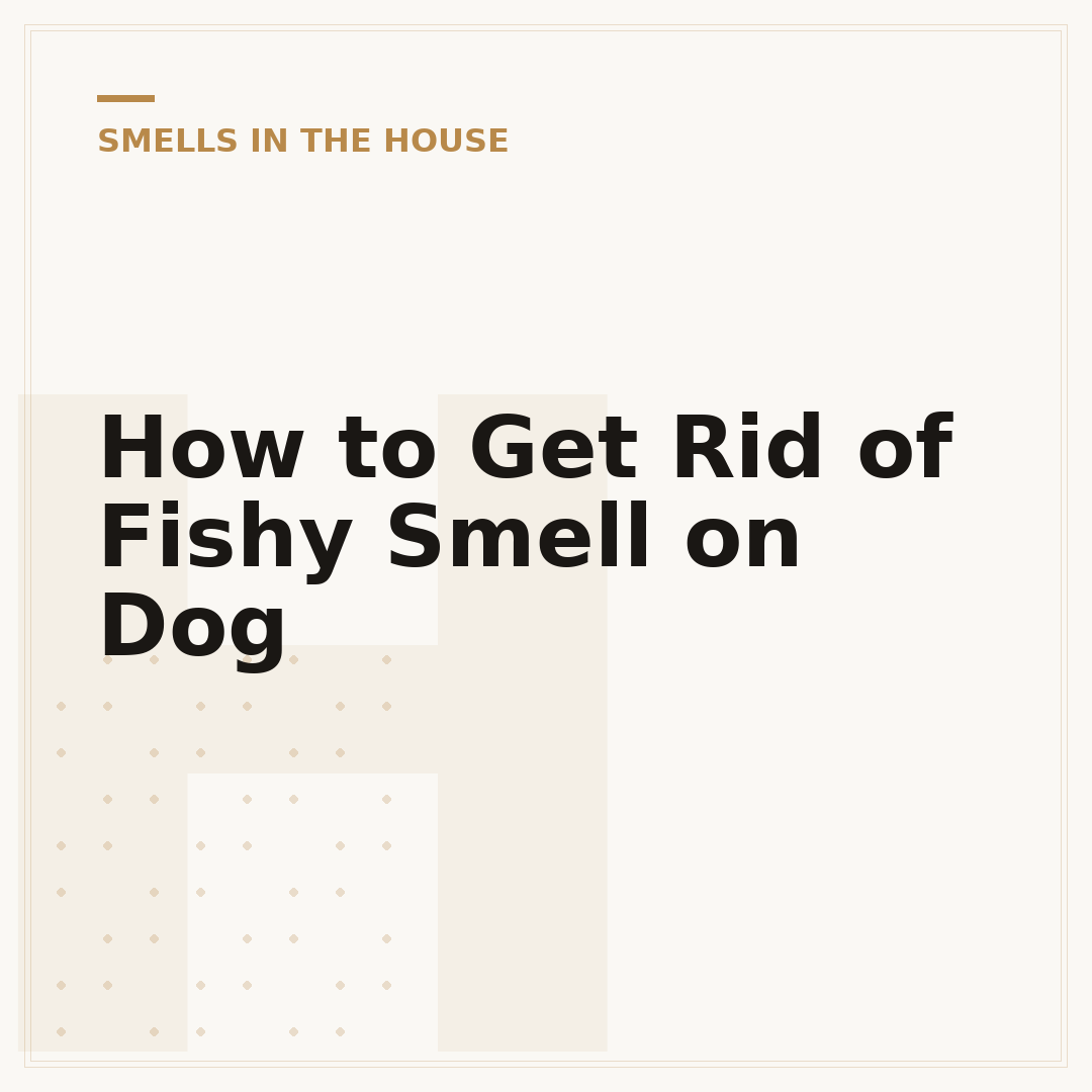 How to Get Rid of Fishy Smell on Dog
