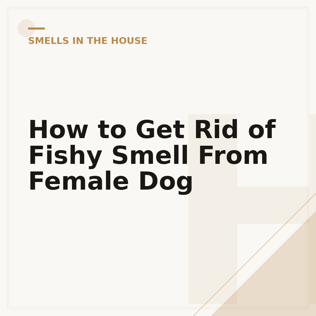 How to Get Rid of Fishy Smell From Female Dog