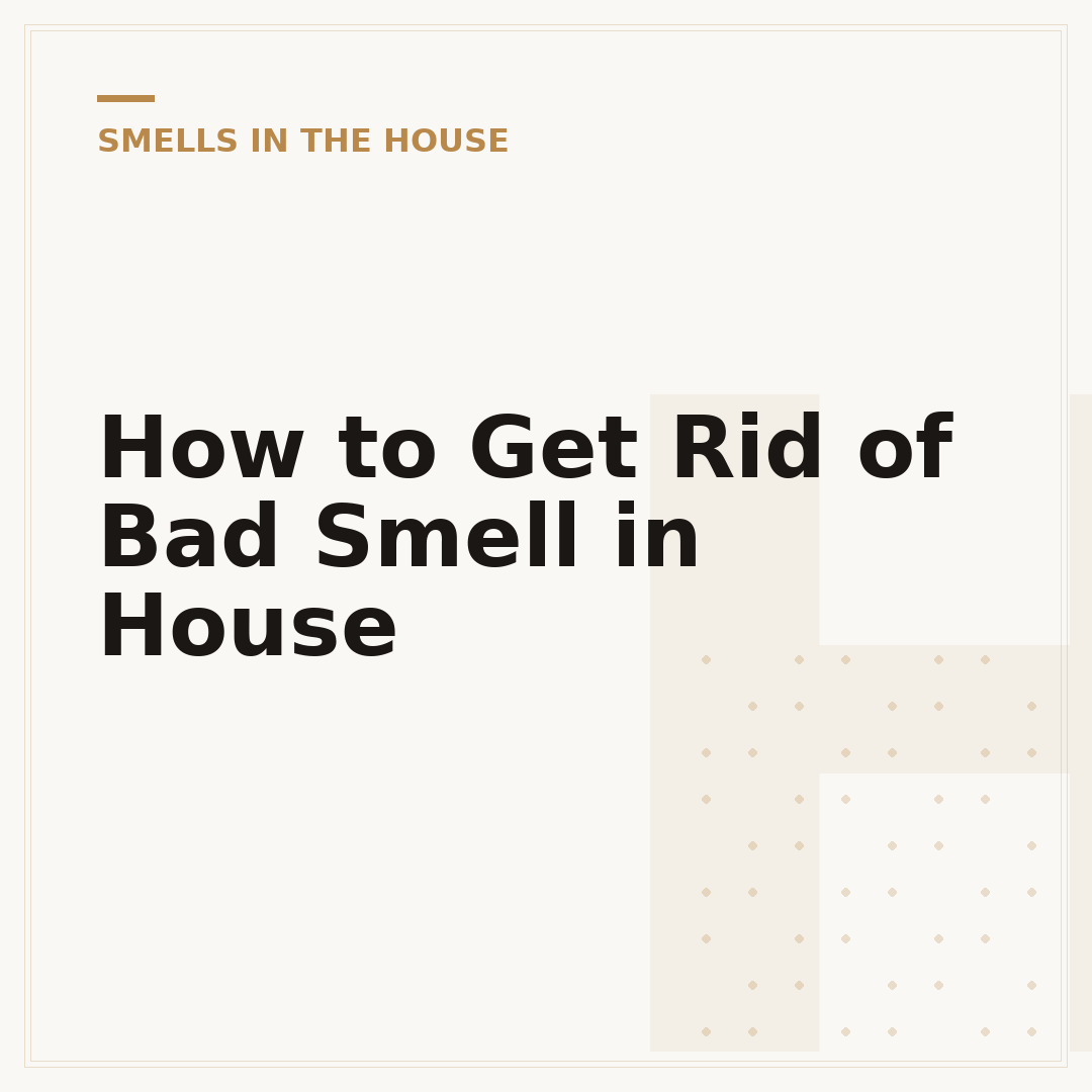 How to Get Rid of Bad Smell in House