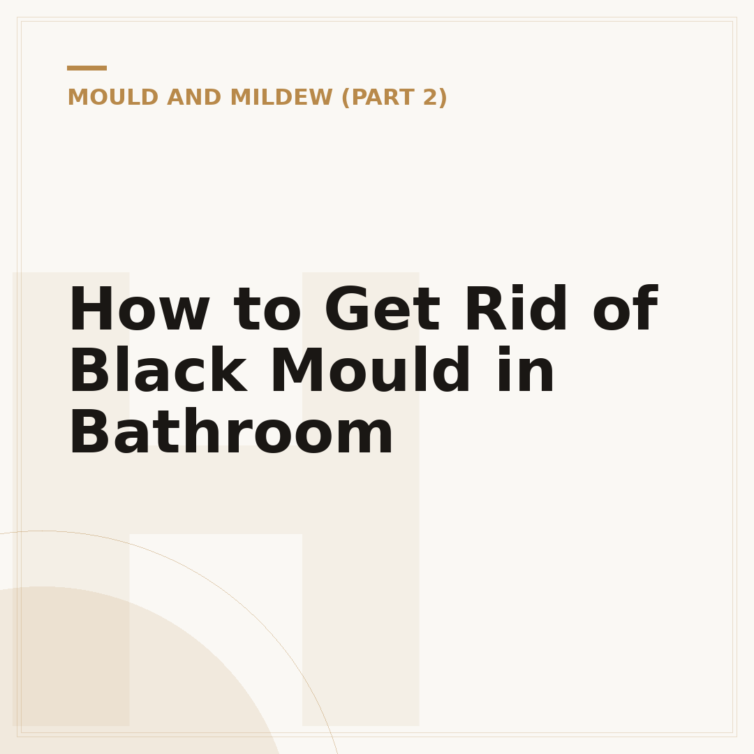 How to Get Rid of Black Mould in Bathroom
