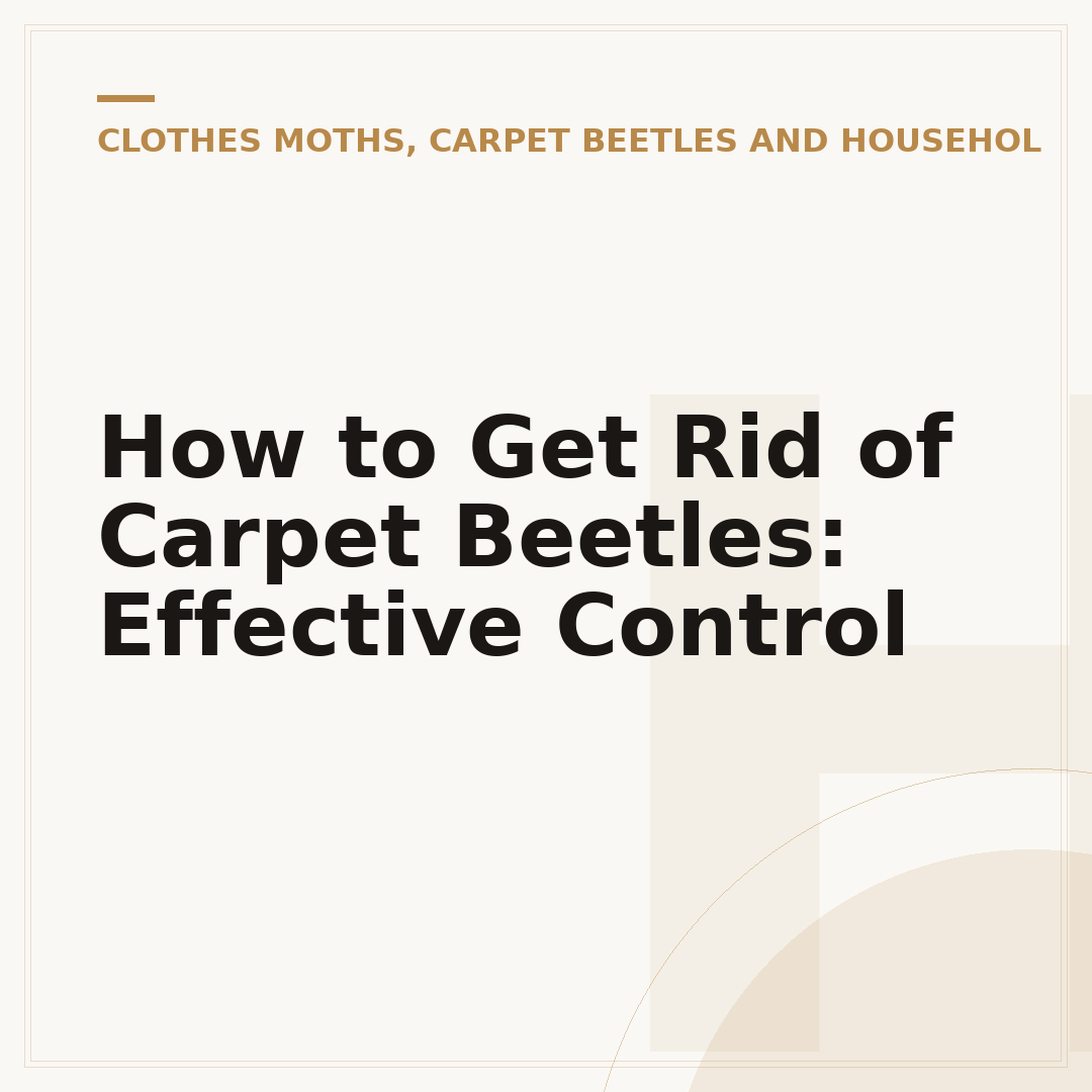 How to Get Rid of Carpet Beetles: Effective Control