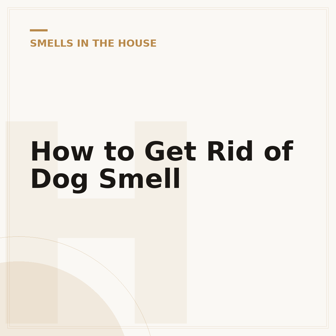 How to Get Rid of Dog Smell