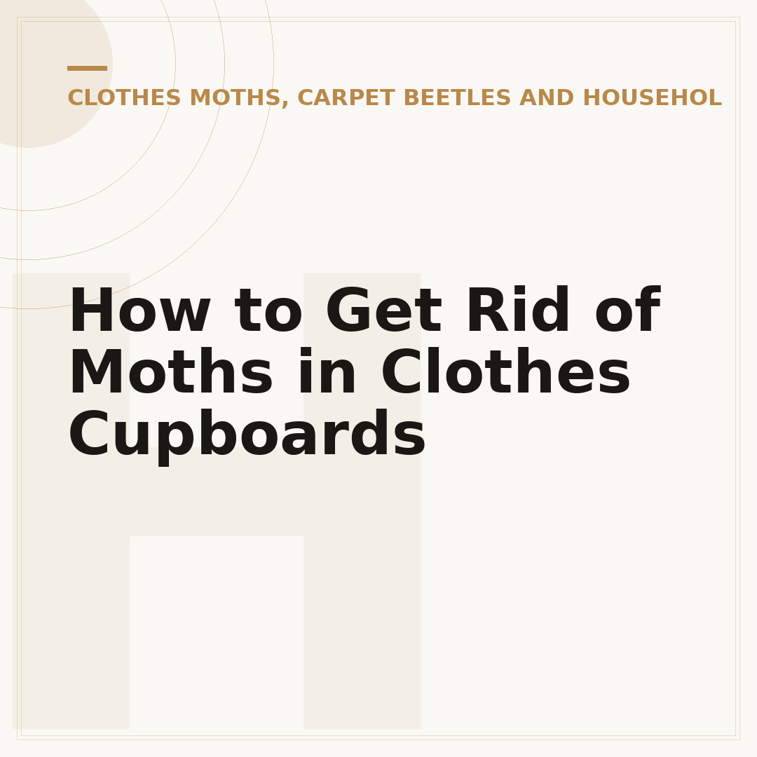 How to Get Rid of Moths in Clothes Cupboards