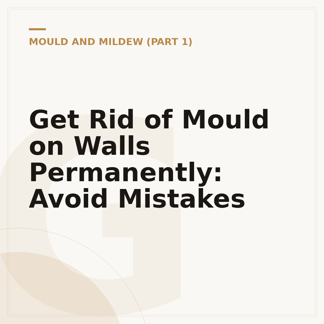 Get Rid of Mould on Walls Permanently: Avoid Mistakes