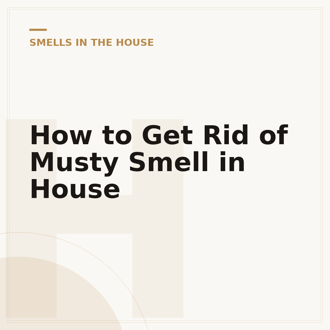 How to Get Rid of Musty Smell in House