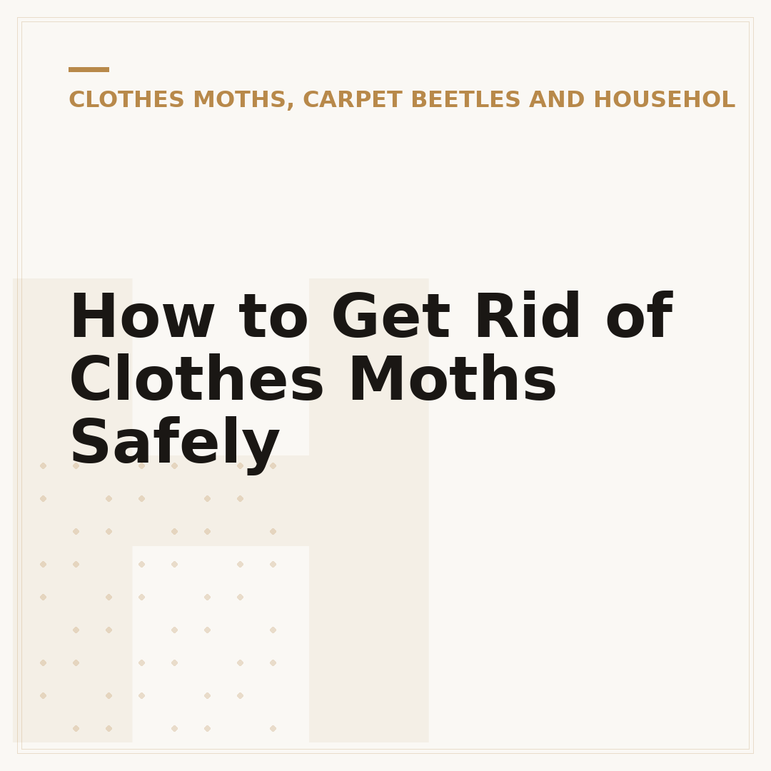 How to Get Rid of Clothes Moths Safely