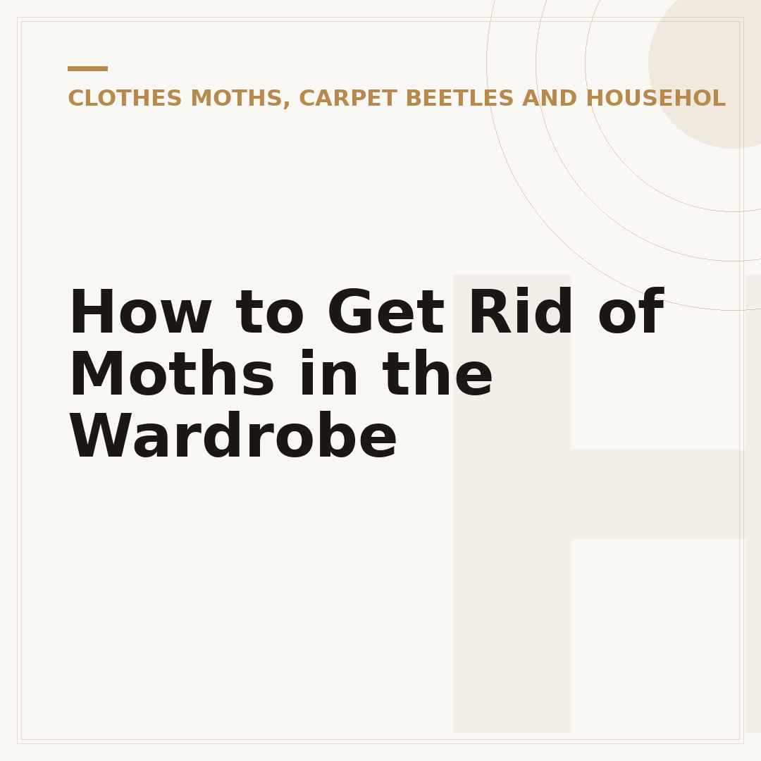How to Get Rid of Moths in the Wardrobe