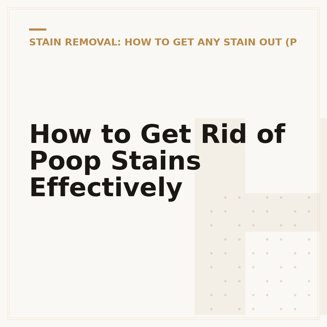 How to Get Rid of Poop Stains Effectively