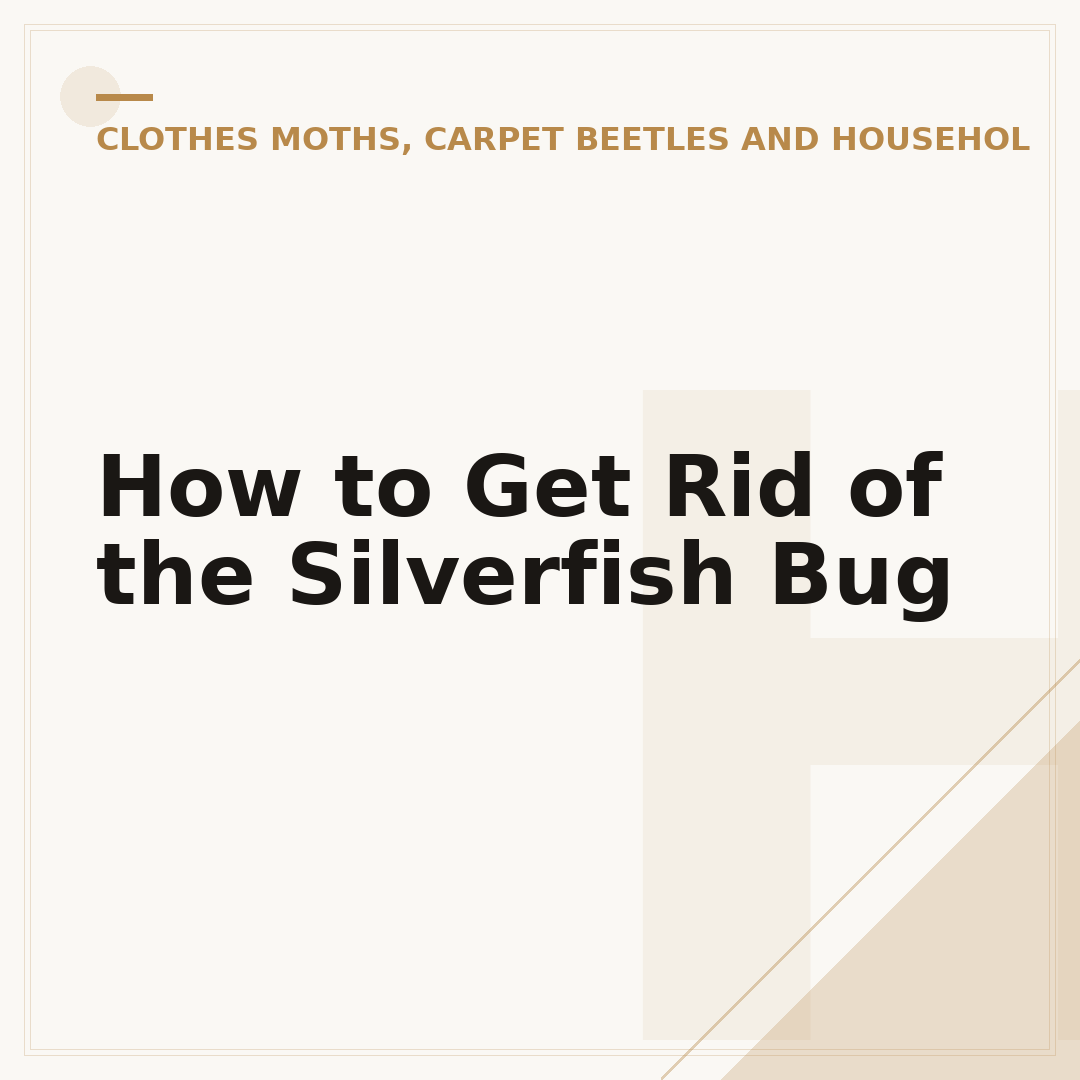 How to Get Rid of the Silverfish Bug