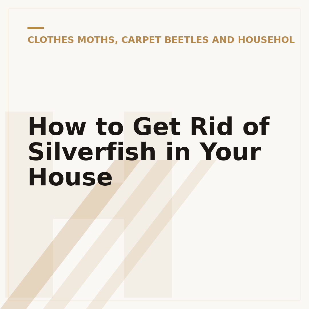 How to Get Rid of Silverfish in Your House