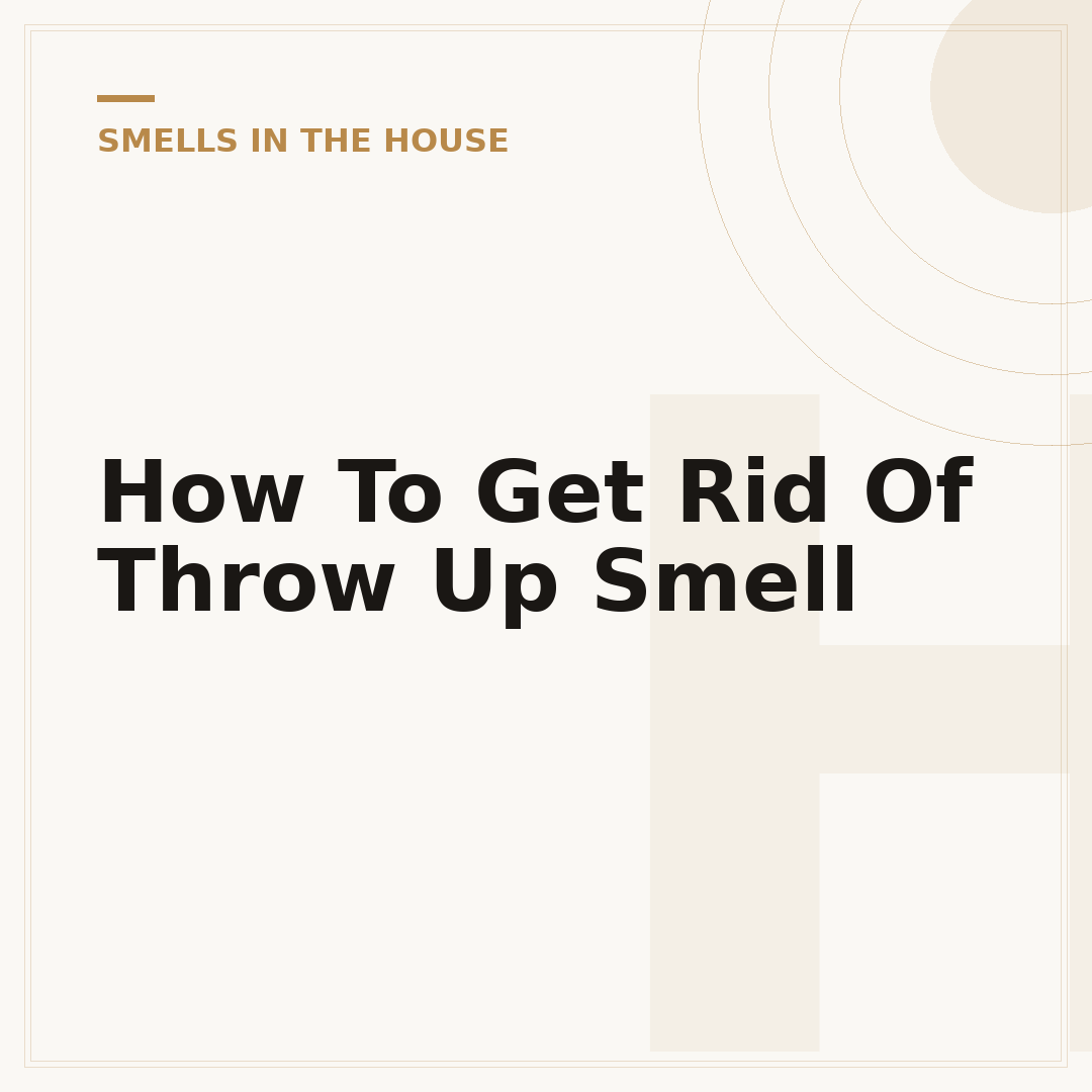 How To Get Rid Of Throw Up Smell
