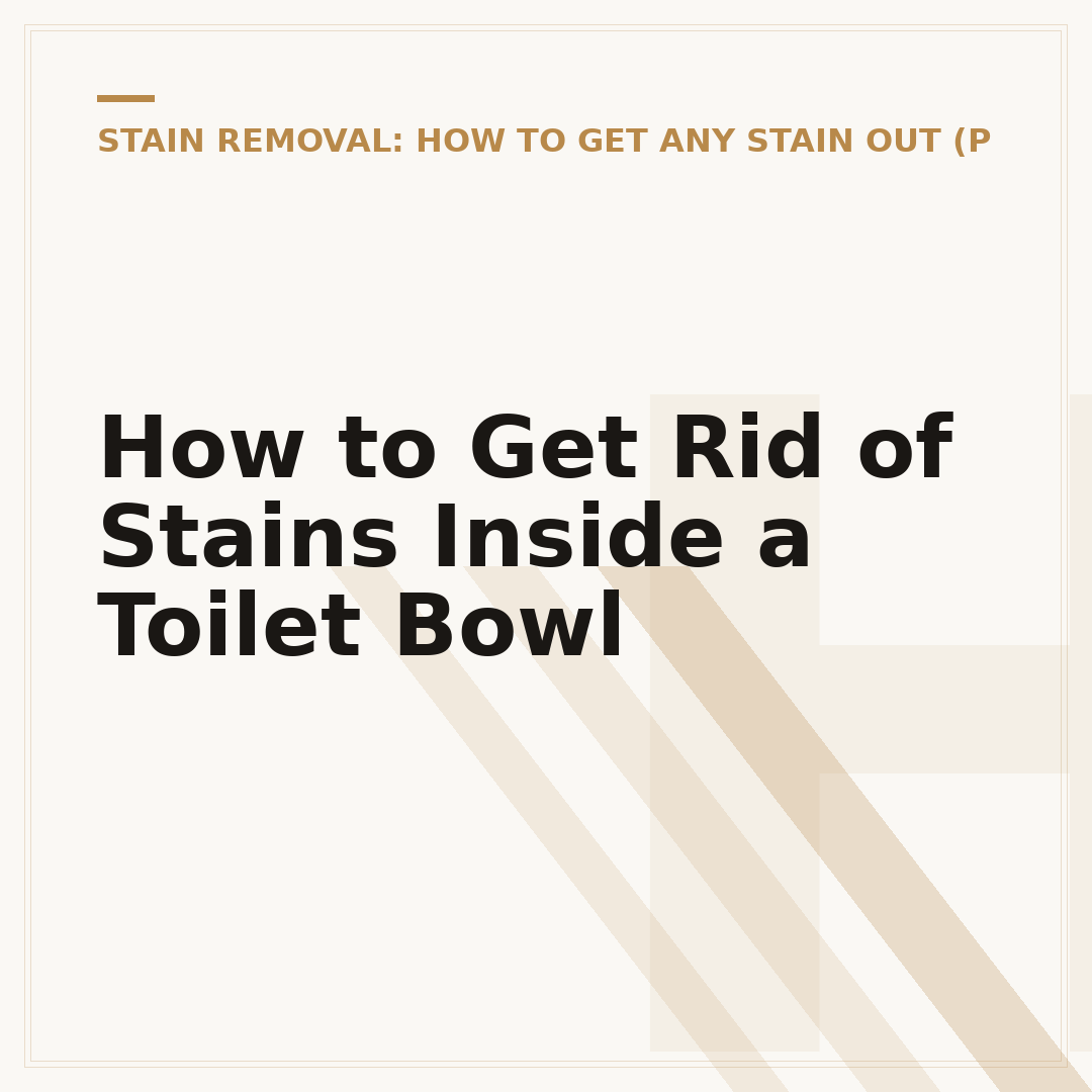 How to Get Rid of Stains Inside a Toilet Bowl