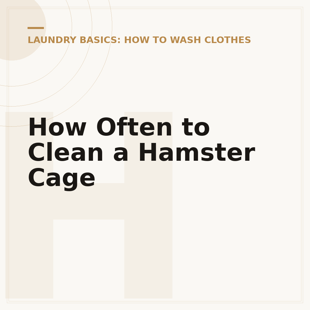 How Often to Clean a Hamster Cage
