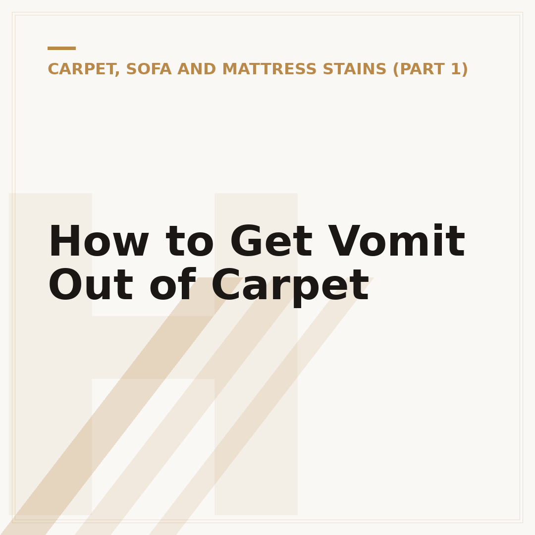 How to Get Vomit Out of Carpet
