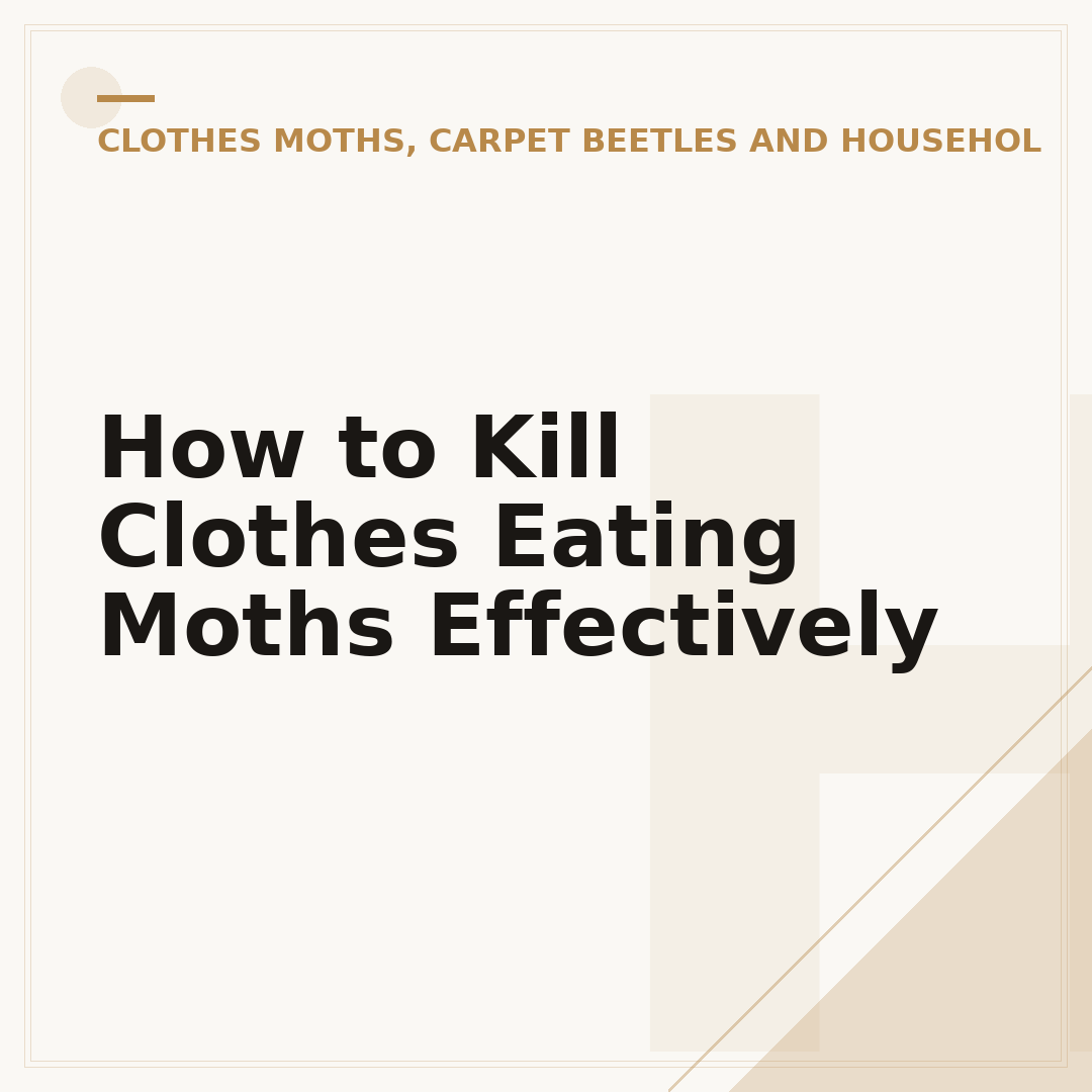 How to Kill Clothes Eating Moths Effectively