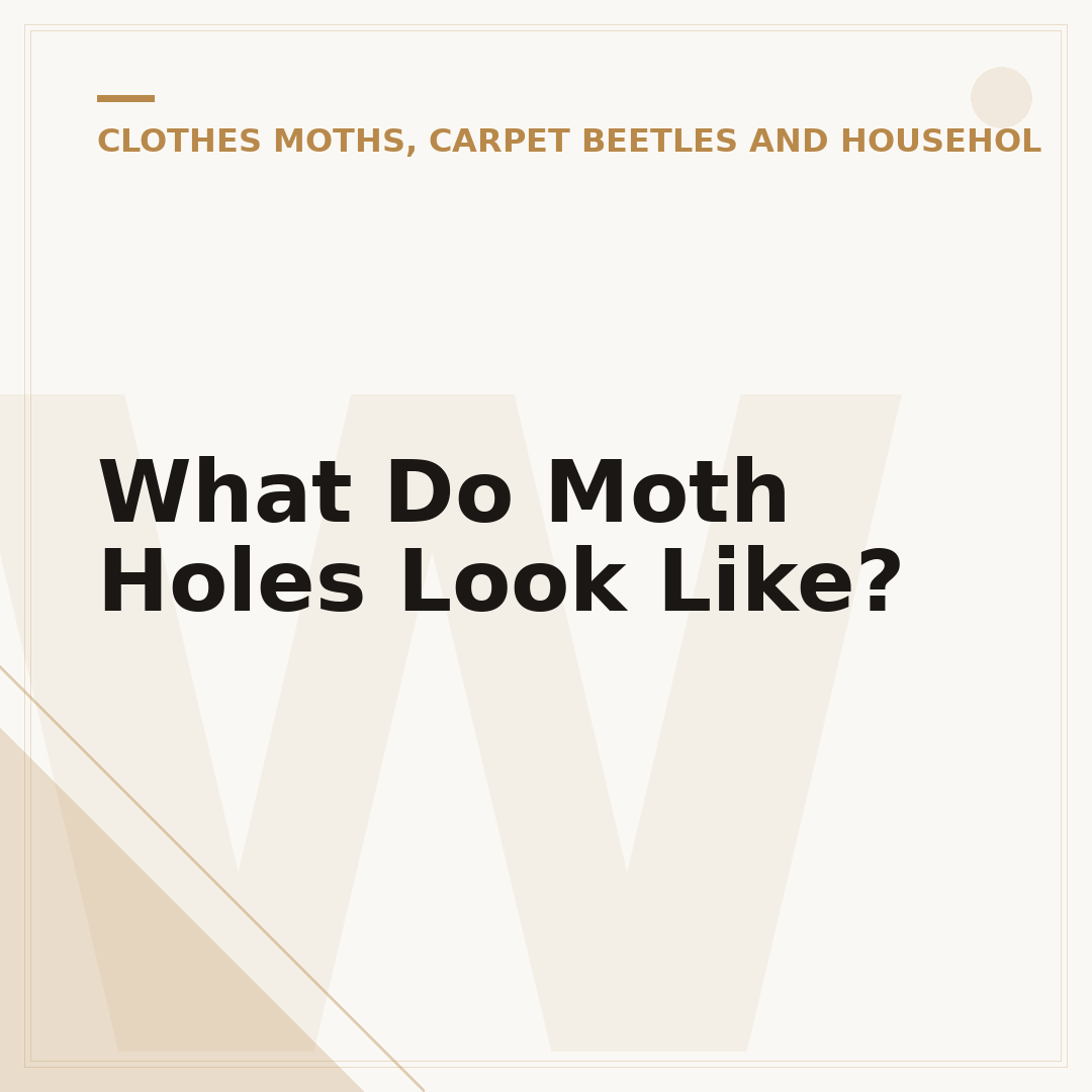 What Do Moth Holes Look Like?